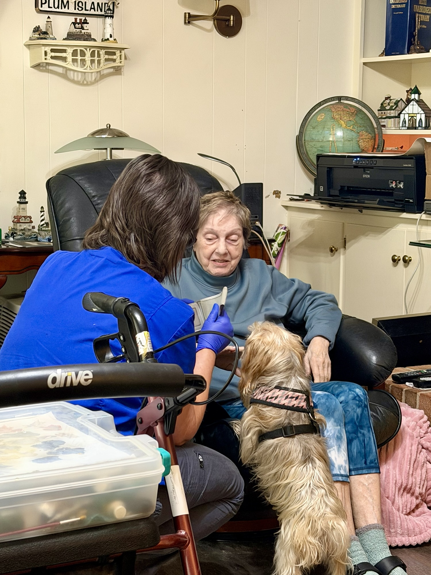 Nancy’s New Season of Care – Gentle Shepherd Hospice